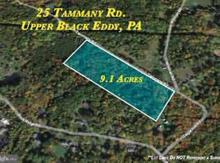 25 Tammany Rd, Upper Black Eddy, PA 18972