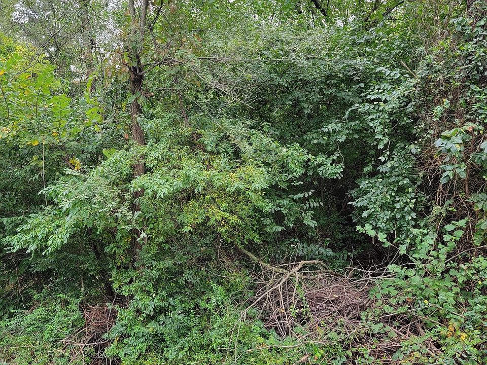 2nd image of Lots 18 19 Fairview Dr