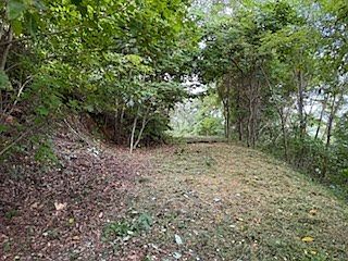 3rd image of 30 Hickory Cove Rd