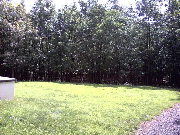 Yard w extended driveway