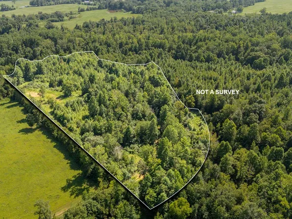0 Foster Rd, Adamsville, TN 38310