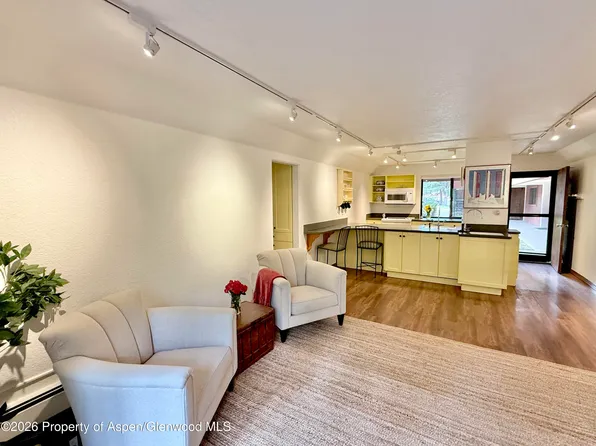 1214 Vine St #1214, Aspen, CO 81611