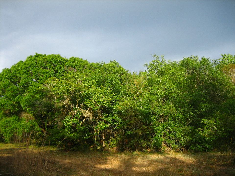 1st image of 3124 Gaines Farm Ln
