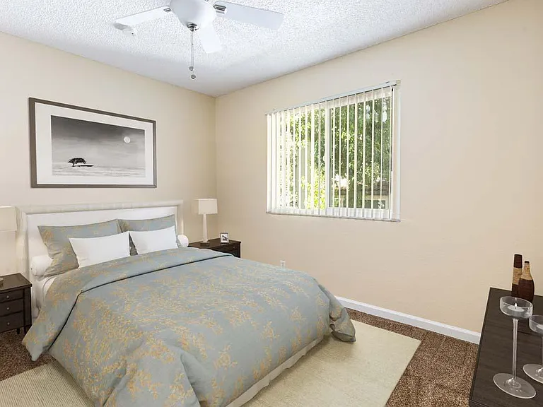 Dry Creek Apartments — Photo 6