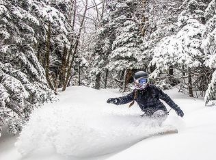 261 Natural Hl, Coventry, VT 05825