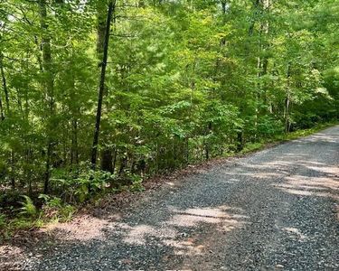 0 Hillbilly Holler #16-17, Blue Ridge, GA, 30513