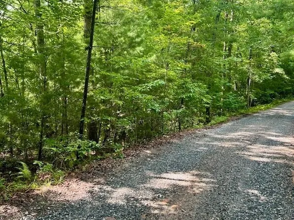 0 Hillbilly Holler #16-17, Blue Ridge, GA 30513