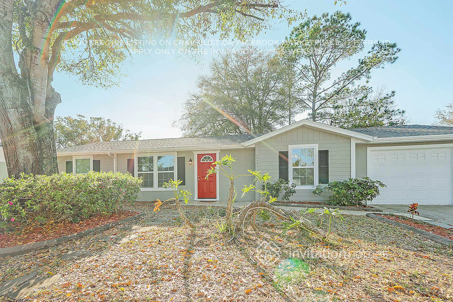 8033 Banister Ln Port Richey, FL 34668 — Photo 2