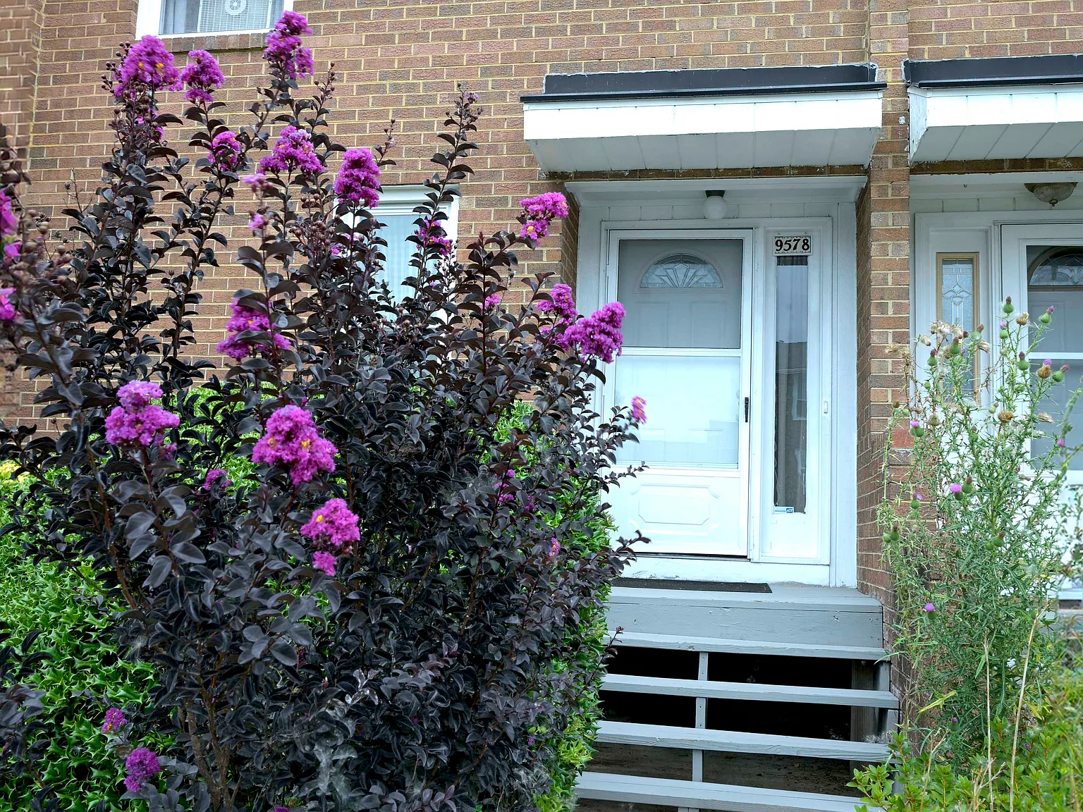 3 bed, 2.5 bath, 1188 sqft, $2,500 — Photo 2