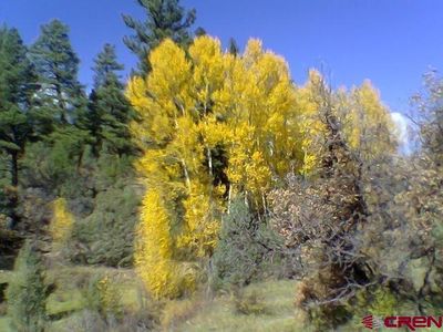 TBD 44ZS Road, Norwood, CO, 81423