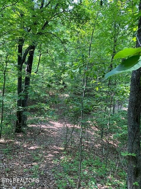 2nd image of 0 Goose Creek Rd