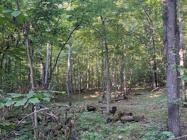 0 Dundas Rd NW, Rapid City, MI 49676