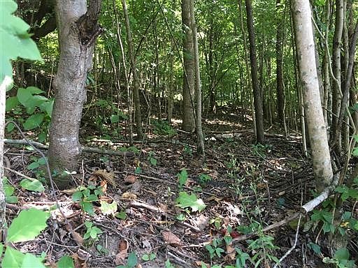 1st image of 0 Old Lake Rd