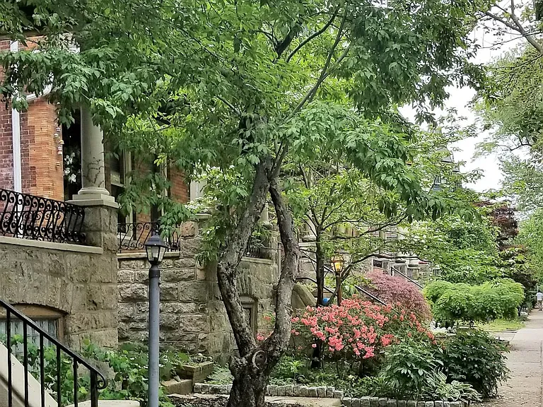 A tree lined street known for colorful front gardens