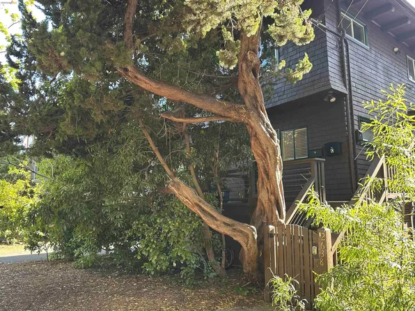 2638 Warring St APT A, Berkeley, CA 94704