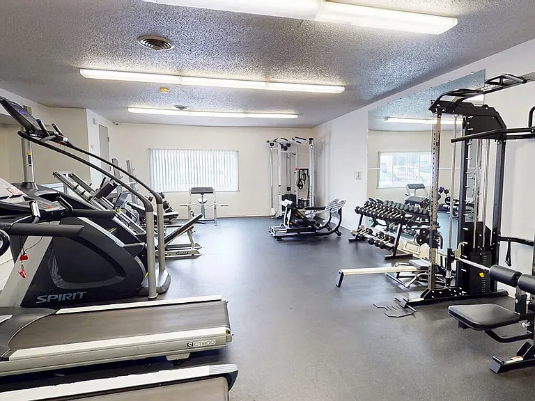 Strength Equipment & Cardio Machines