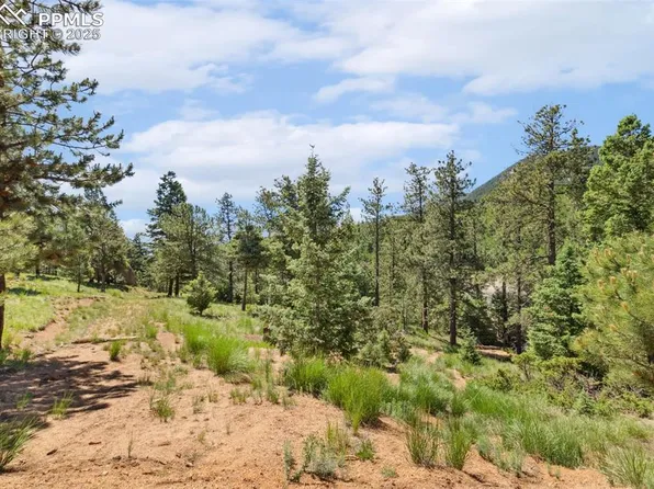 6050 Coffee Pot Rd, Manitou Springs, CO 80829