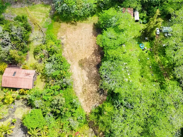 15-2038 16th Ave, Keaau, HI 96749