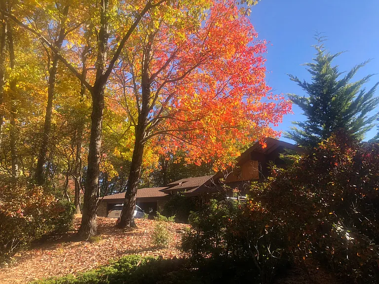 Beautiful fall colors