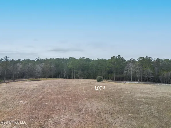 4 Kahler Ln Lot 4, Mc Henry, MS 39561