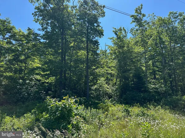 0 Tyrone Pike, Sandy Ridge, PA 16677