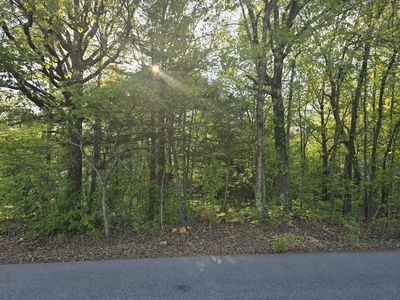 0 Dogwood Ln, Batesville, AR, 72501