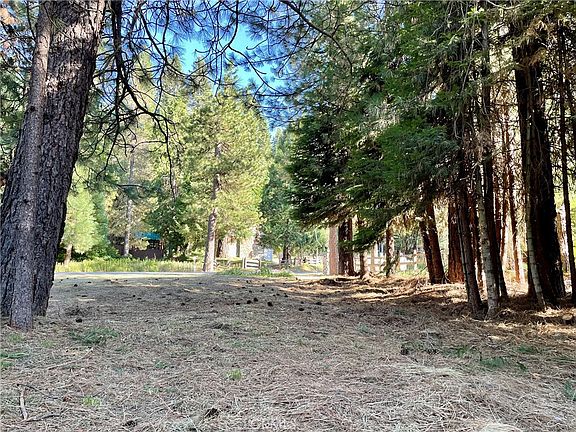 3rd image of 8 Highway 41 Lot 8