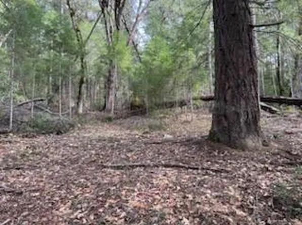 320 Coon Creek Rd, Salyer, CA 95563