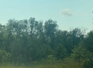 Baker St, Wellston, MI 49689