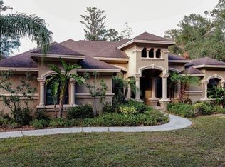 13829 Plainview Rd, Odessa, FL 33556