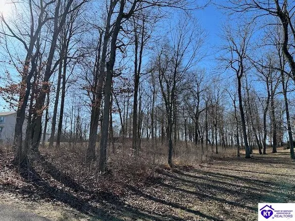LOT 3 Buck Knobs Rd, Ekron, KY 40117