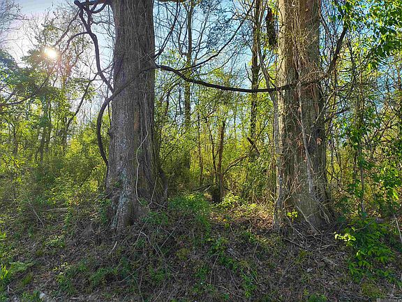 3rd image of Brian Rd