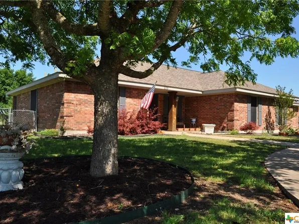 225 Will Smith Dr, Hutto, TX 78634