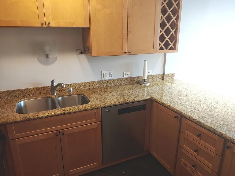 233 E Erie St #2409 — Photo 12