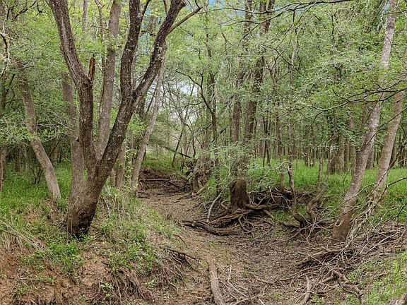 3rd image of County Road 433