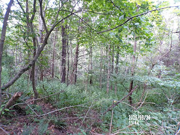 5th image of Clapboard Hollow Rd
