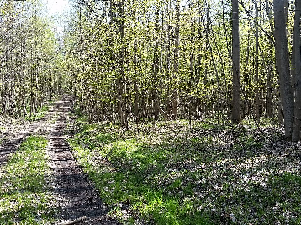 2nd image of Rundeltown Rd