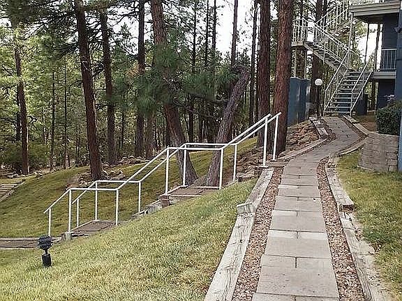 Walkway to the Tree House