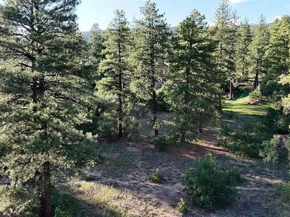 91 Engine Creek Court, Durango, CO 81301