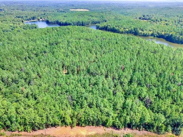 LOT 3 Goings Rd, Chester, SC 29706