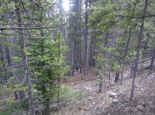 Lot #440 Hillside Road, Idaho Springs, CO 80452