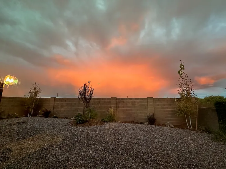 6255 Goldfinch Dr — Photo 12