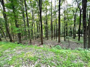 117 E Alpine Dr, Terra Alta, WV