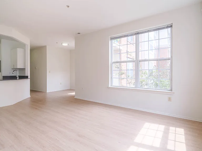 Living Room with Hard Surface Flooring