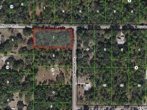8652 N Shannon Ave, Crystal River, FL 34428