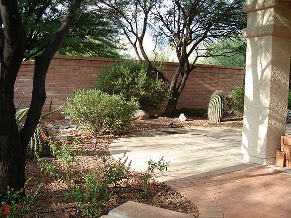 landscaped patio area