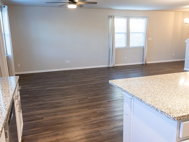366 Silver Springs Bnd — Photo 4