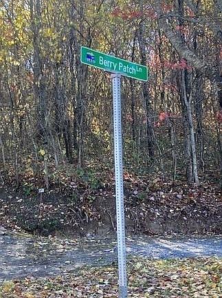 2nd image of 99999 Berry Patch Ln #15-16