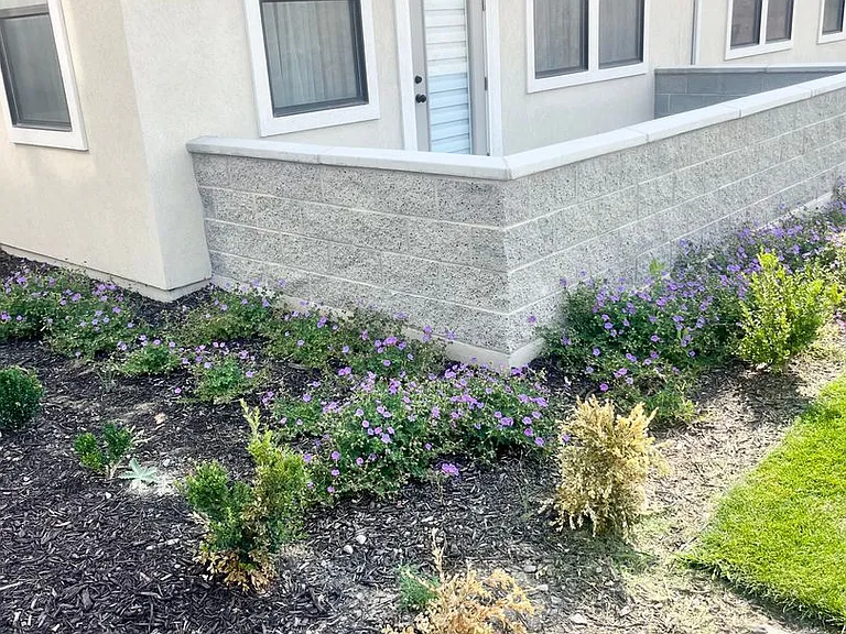 754 W Blue Magic Ln #101 — Photo 14