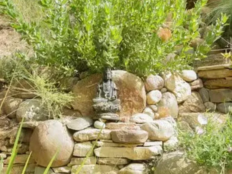 NW side yard 
Water fall & pond